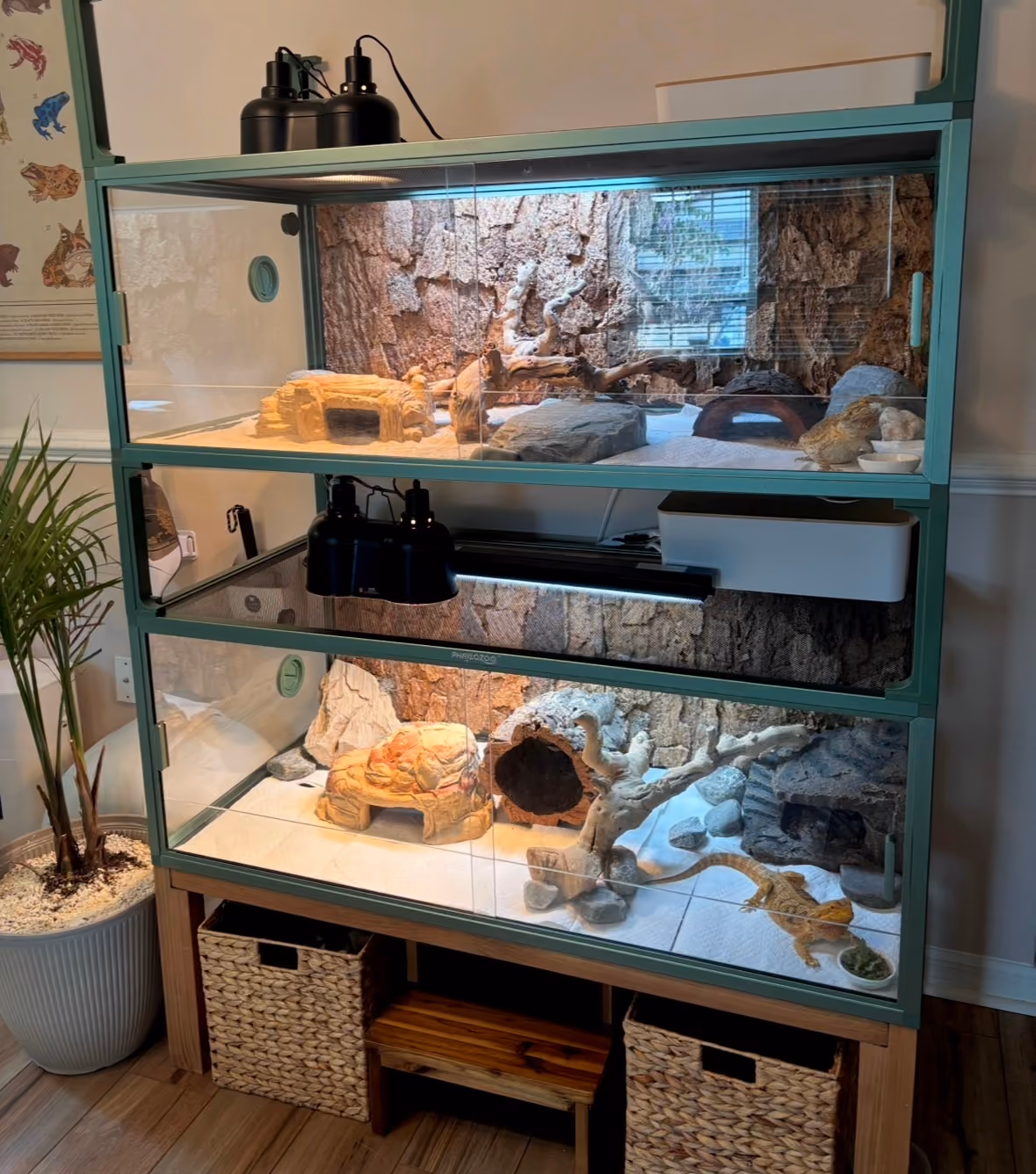 Stacked reptile enclosures